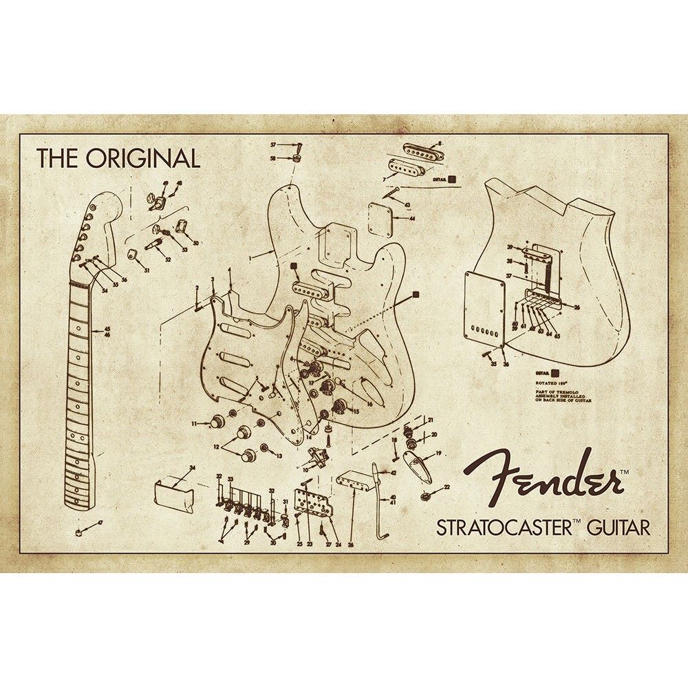 FENDER フェンダー (設立 80周年 ) - Diagram / ポスター 【公式 / オフィシャル】