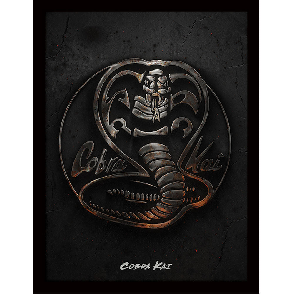 COBRA KAI - (ファイナルシーズン配信 ) - Metal