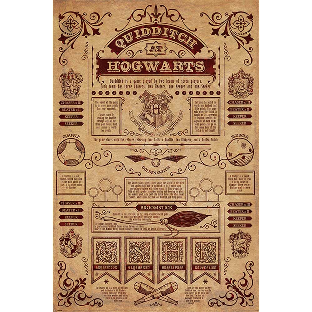 HARRY POTTER - Quidditch At Hogwarts