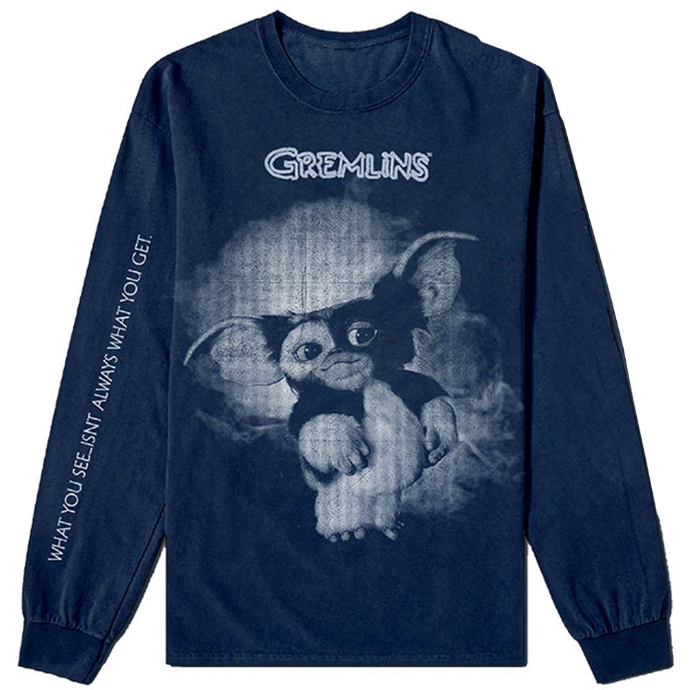 GREMLINS Gremlins Graphic / Long sleeves / Back print / Arm print / T-shirt / Men's