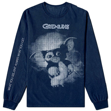 GREMLINS グレムリン - Gremlins Graphic / 長袖 / バックプリントあり / アームプリントあり / Tシャツ / メンズ