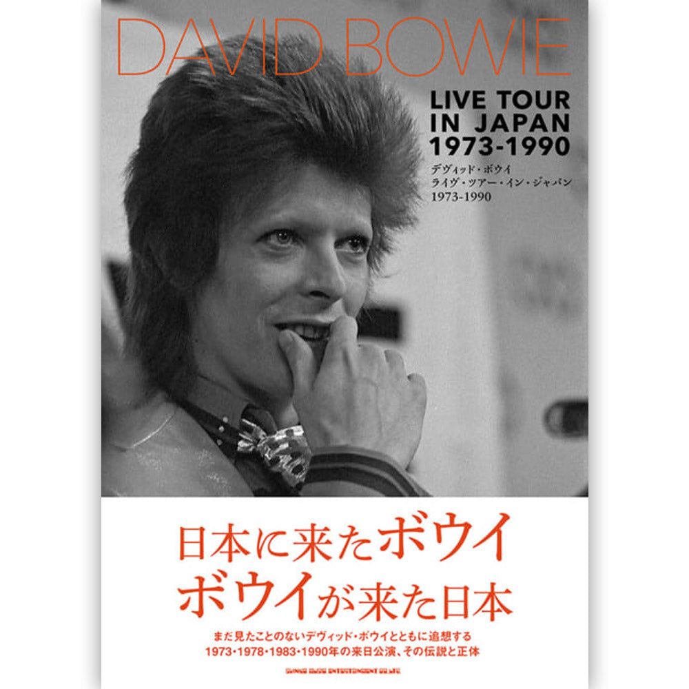 DAVID BOWIE - (追悼 10年 ) - デヴィッド・ボウイ ライヴ・ツアー・イン・ジャパン 1973-1990