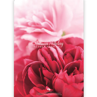 AUDREY HEPBURN オードリー・ヘプバーン - A4クリアファイル / I / ファイル・バインダー