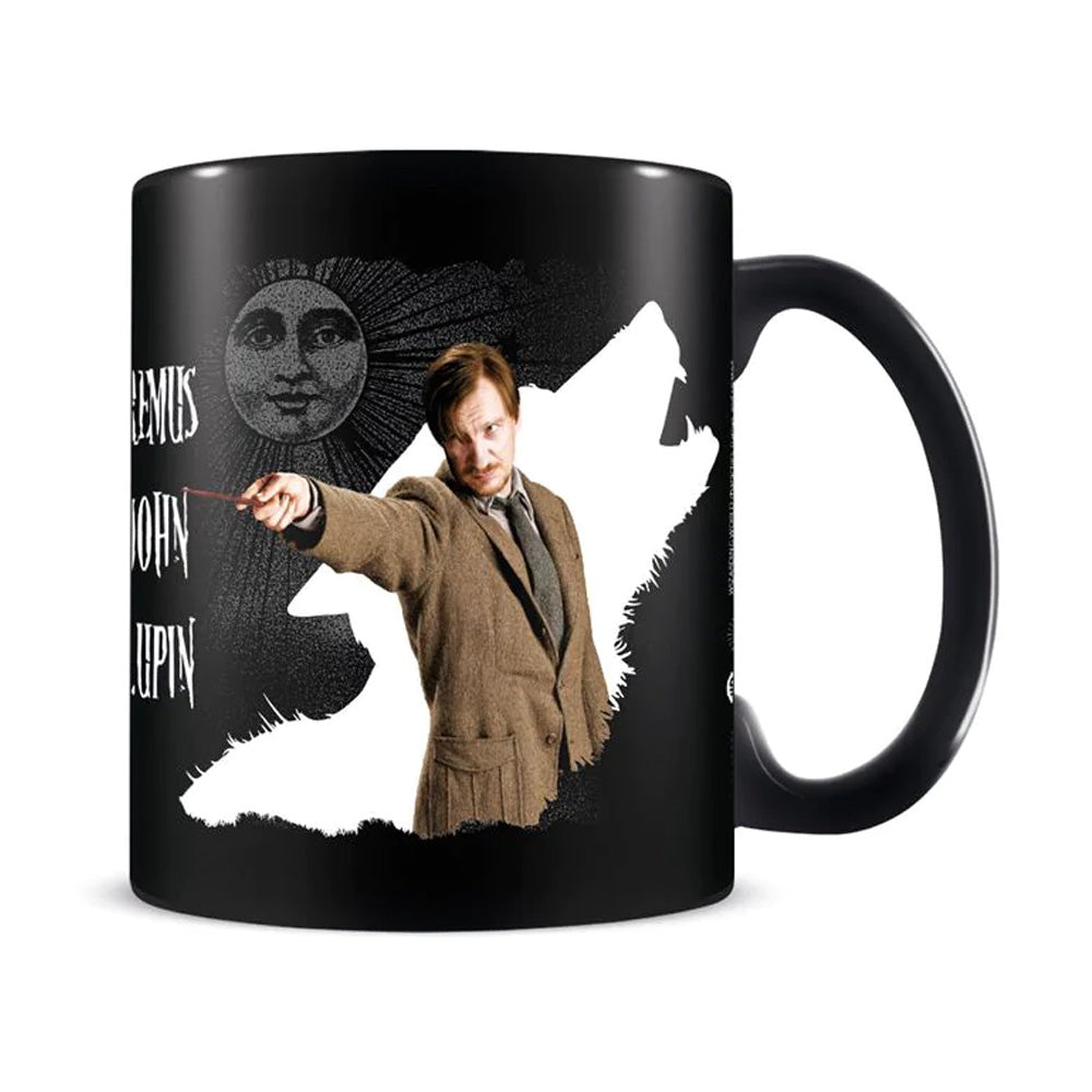 HARRY POTTER - Remus John Lupin