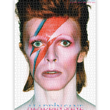 DAVID BOWIE デヴィッドボウイ - ALADDINE / 500ピース / ジグソーパズル