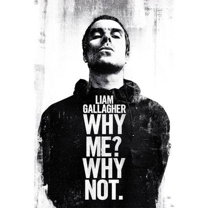 OASIS オアシス (10月 来日 記念 ) - Liam Gallagher / Why Me Why Not / ポスター 【公式 / オフィシャル】