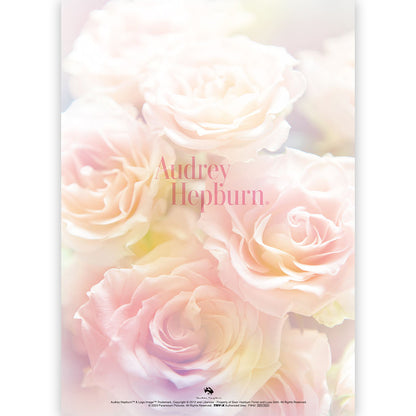 AUDREY HEPBURN オードリー・ヘプバーン - オードリー・ヘプバーン A4クリアファイル / B / ファイル・バインダー 【公式 / オフィシャル】