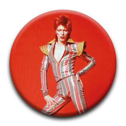 DAVID BOWIE - (追悼 10年 ) - STARE