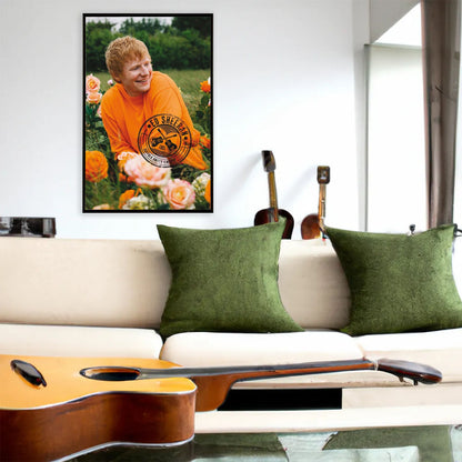ED SHEERAN - Rose Field / Poster