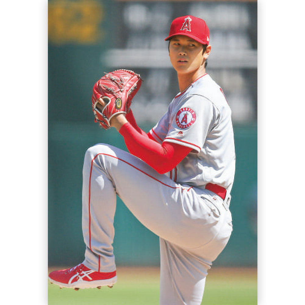 SHOHEI OHTANI - The story of the birth of a two-way major leaguer / Paperback edition / Magazines and books