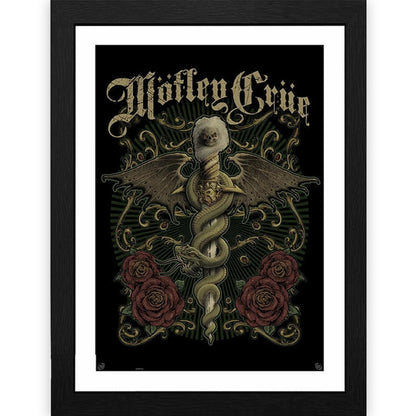 MOTLEY CRUE - (来日 40周年 ) - Exquisite Dagger