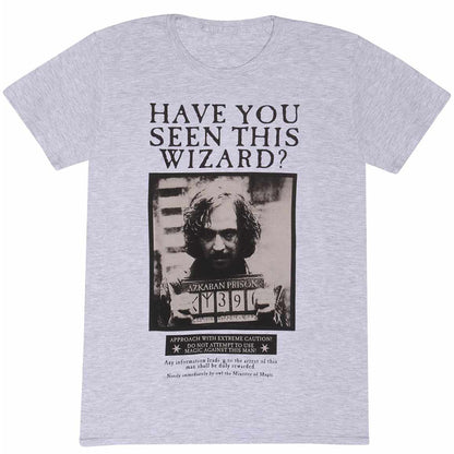 HARRY POTTER - (2027年 ドラマ放送決定 ) - Sirius Black Poster