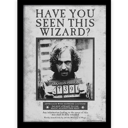 HARRY POTTER - (2027年 ドラマ放送決定 ) - Sirius Wanted