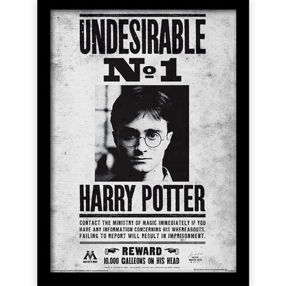 HARRY POTTER - (2027年 ドラマ放送決定 ) - Undesirable No1