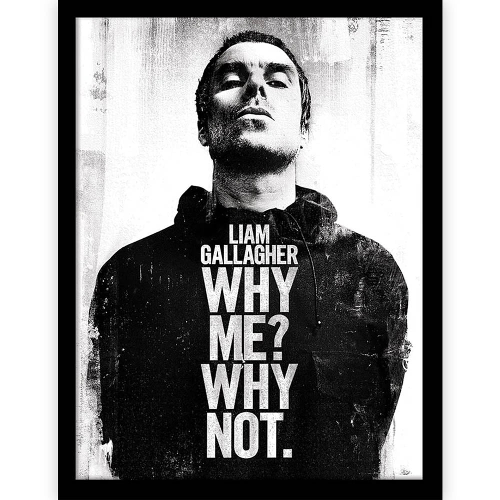 OASIS オアシス (10月 来日 記念 ) - Liam Gallagher Why Me Why Not / インテリア額 【公式 / オフィシャル】