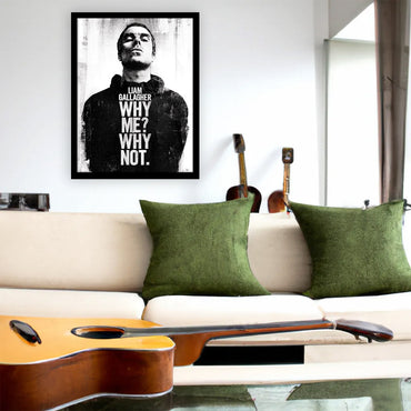 OASIS (October visit to Japan commemoration) - Liam Gallagher Why Me Why Not / Interior frame