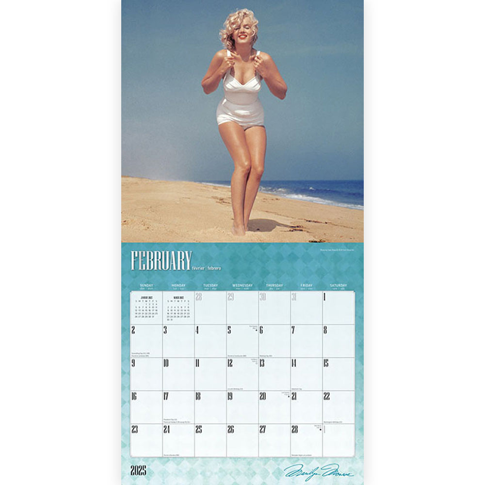 
                  
                    【廃番ラスト販売/特別価格】MARILYN MONROE マリリンモンロー - 2025年カレンダー / 輸入盤 / カレンダー・ダイアリー
                  
                