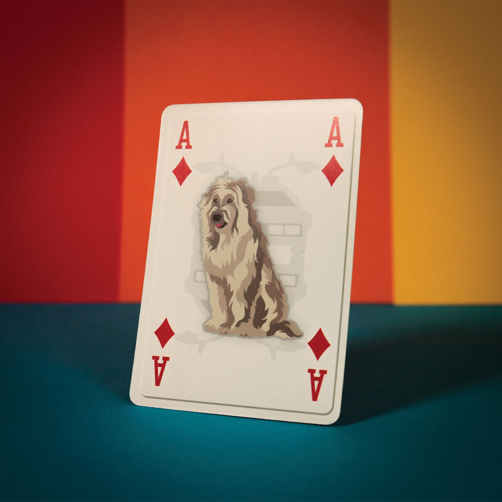 
                  
                    【予約商品】 BACK TO THE FUTURE バックトゥザフューチャー (劇場公開 40周年 ) - Playing Cards / トランプ
                  
                