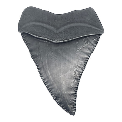 【予約商品】 JAWS ジョーズ (公開 50周年 ) - 50th Anniversary Shark Tooth Medallion / 世界限定1975個 / インテリア置物