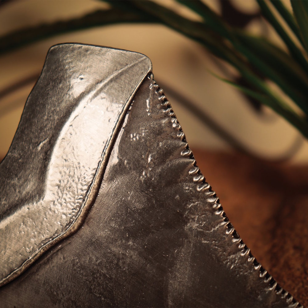 【予約商品】 JAWS ジョーズ (公開 50周年 ) - 50th Anniversary Shark Tooth Medallion / 世界限定1975個 / インテリア置物