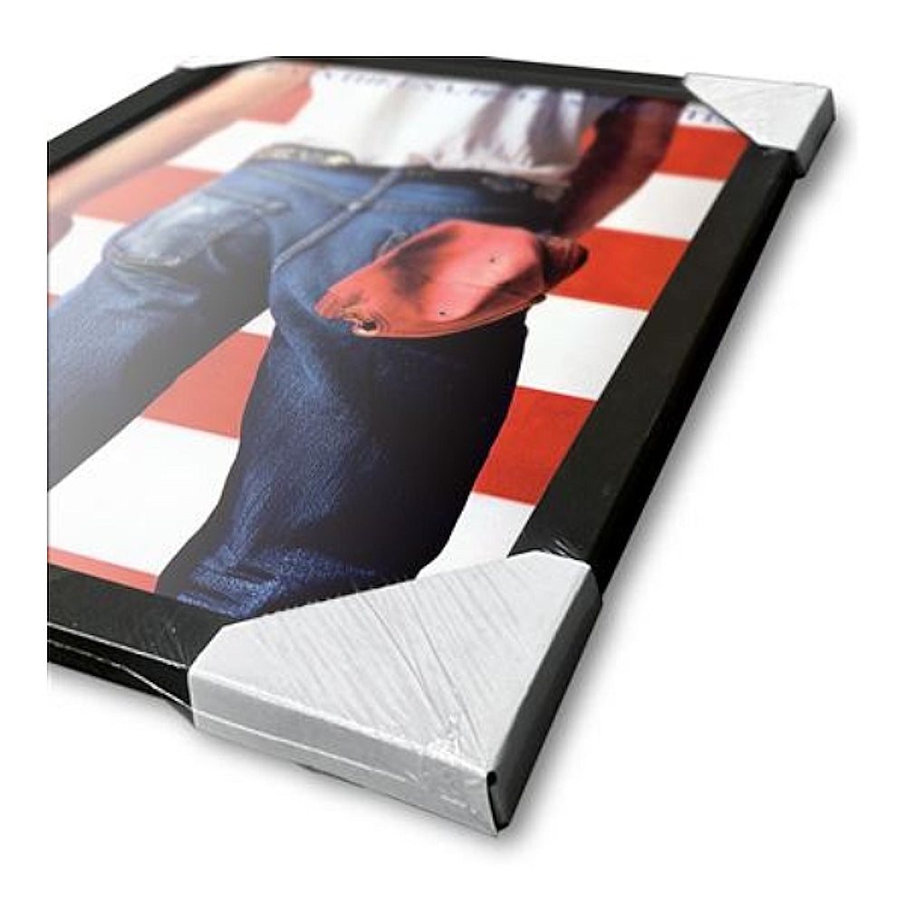 BRUCE SPRINGSTEEN ブルーススプリングスティーン (11月 映画公開 記念 ) - BORN IN THE USA / OLLECTOR PRINT / インテリア額 【公式 / オフィシャル】