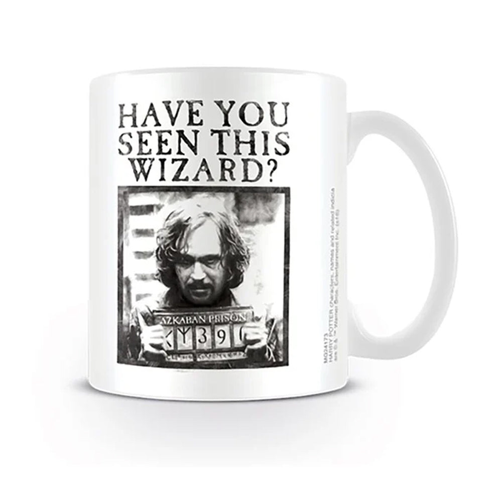 
                  
                    HARRY POTTER - Wanted
                  
                