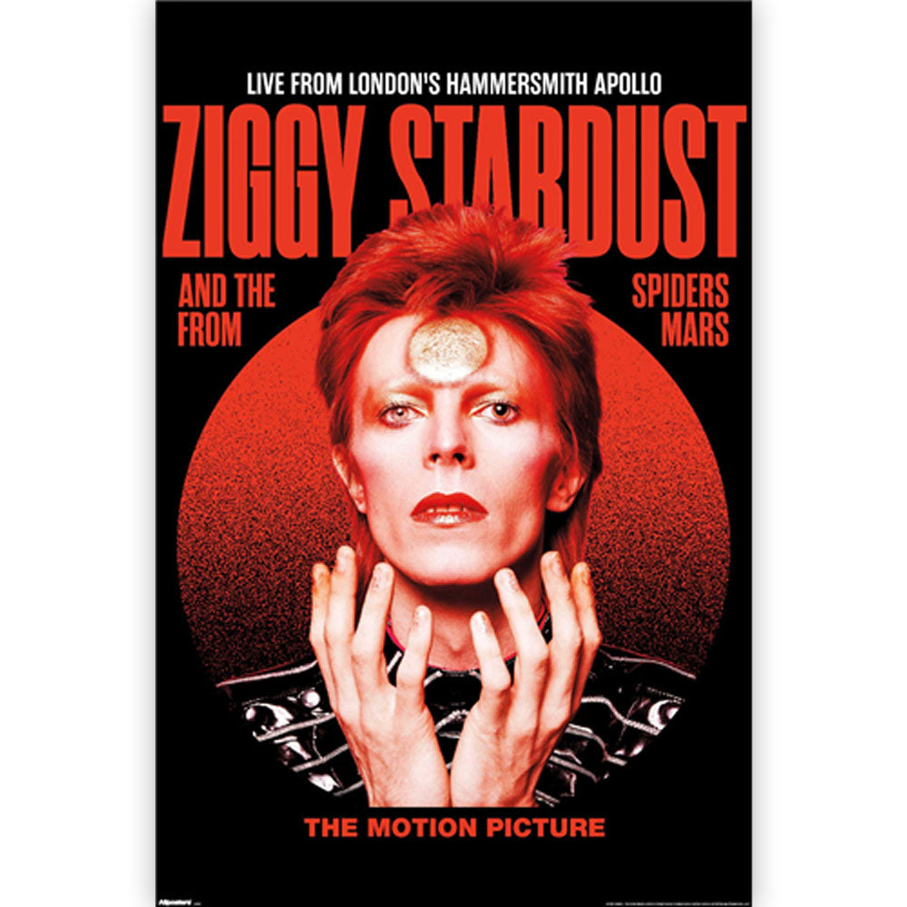 DAVID BOWIE - (追悼 10年 ) - Ziggy Stardust Live