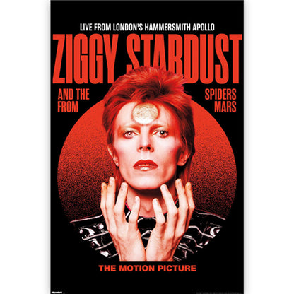 DAVID BOWIE - (追悼 10年 ) - Ziggy Stardust Live