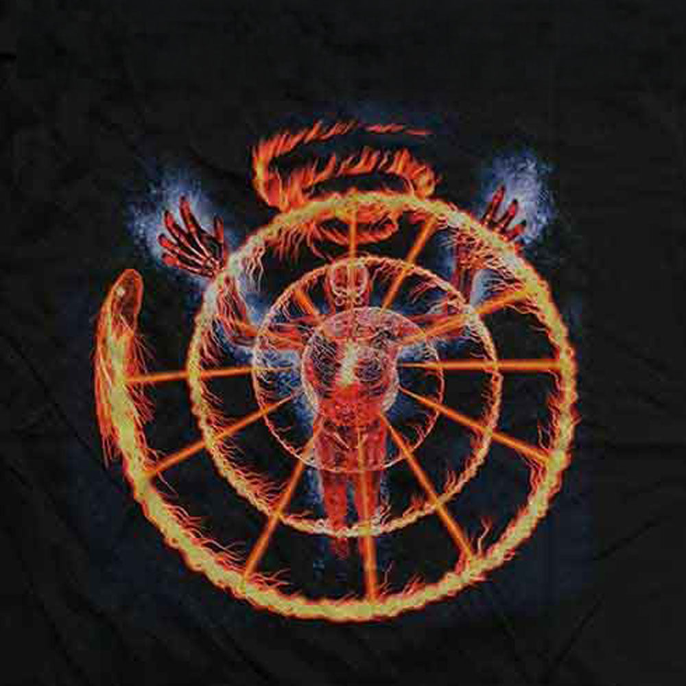 TOOL トゥール - Flame Spiral / バックプリントあり / アームプリントあり / Tシャツ / メンズ