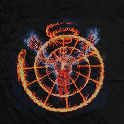 TOOL トゥール (12月 来日 ) - Flame Spiral / バックプリントあり / アームプリントあり / Tシャツ / メンズ