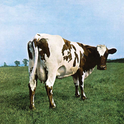 PINK FLOYD ピンクフロイド (結成 60周年 ) - ATOM HEART MOTHER / 500ピース / ジグソーパズル
