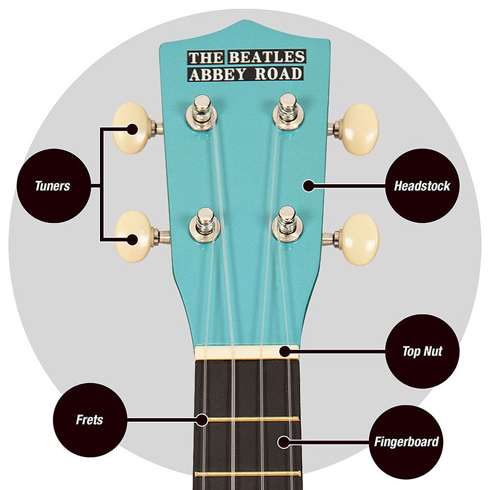 THE BEATLES ビートルズ (結成 65周年 ) - Abbey Road / ウクレレ