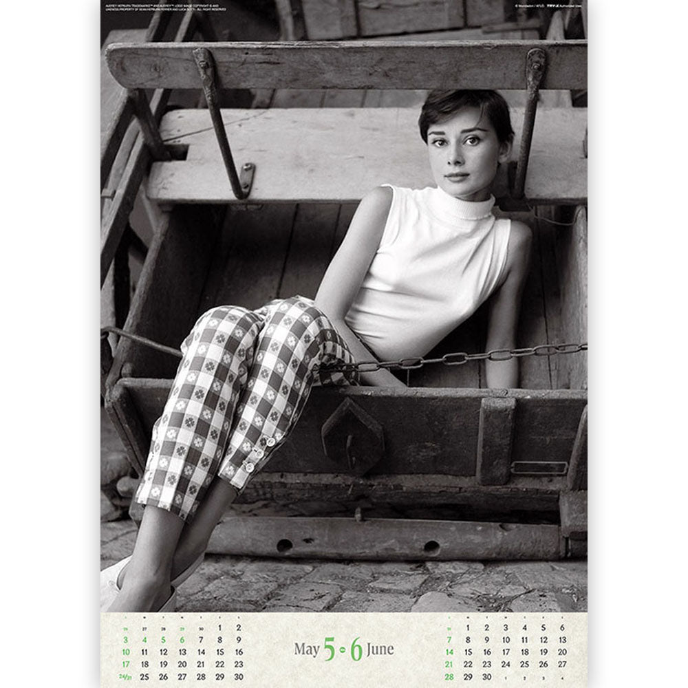 AUDREY HEPBURN オードリー・ヘプバーン - 2026年カレンダー / 壁掛け