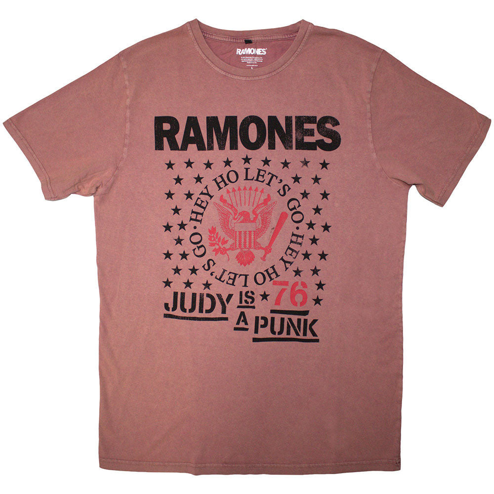 RAMONES - (デビュー 50周年 ) - Hey Ho Judy / Stone Wash