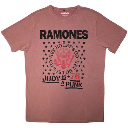 RAMONES - (デビュー 50周年 ) - Hey Ho Judy / Stone Wash