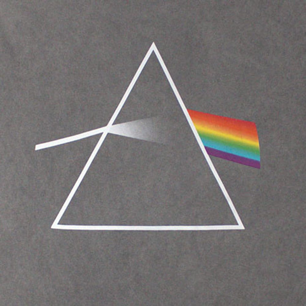 PINK FLOYD - Dark Side of the Moon Album / Stone Wash / Men's T-shirt
