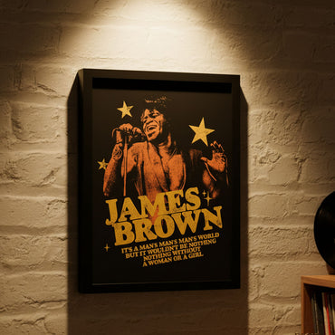 JAMES BROWN ジェームスブラウン (追悼 20年 ) - Man's World / インテリア額