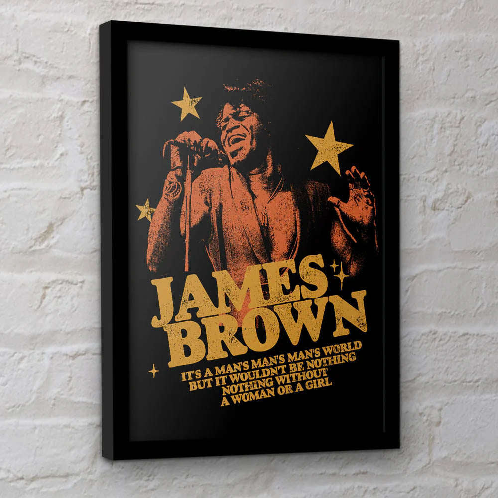 JAMES BROWN ジェームスブラウン (追悼 20年 ) - Man's World / インテリア額