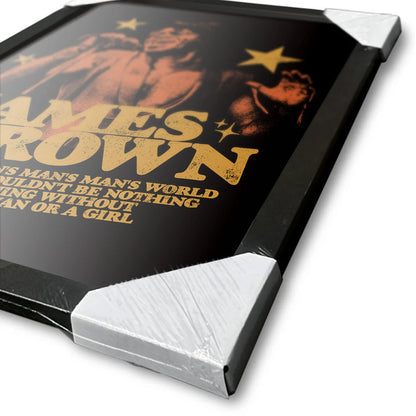 JAMES BROWN ジェームスブラウン (追悼 20年 ) - Man's World / インテリア額