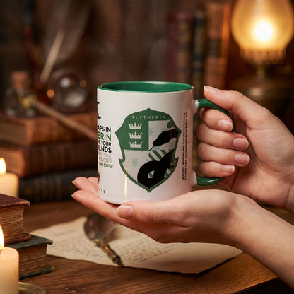 HARRY POTTER ハリーポッター (公開 25周年 ) - SLYTHERIN HOUSE PRIDE / マグカップ