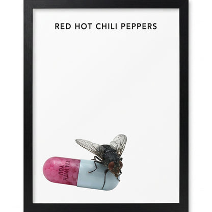 RED HOT CHILI PEPPERS - I'M WITH YOU / コレクタープリント