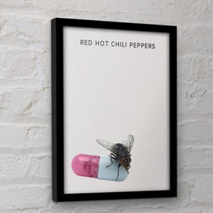 RED HOT CHILI PEPPERS レッドホットチリペッパーズ - I'M WITH YOU / コレクタープリント / インテリア額