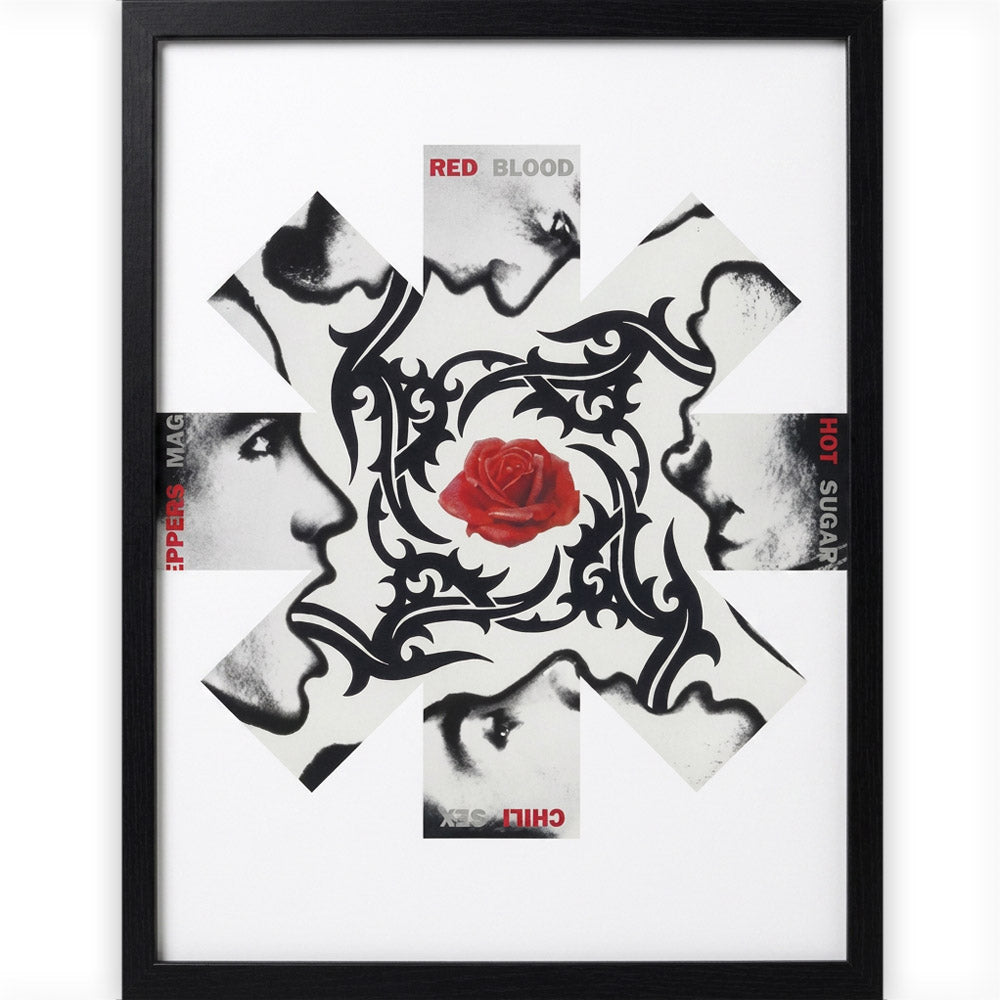 RED HOT CHILI PEPPERS レッドホットチリペッパーズ – PGS