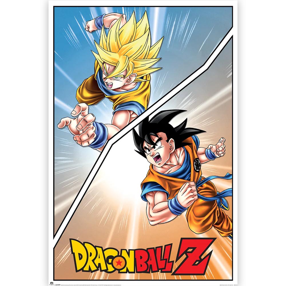 DRAGON BALL ドラゴンボール – PGS