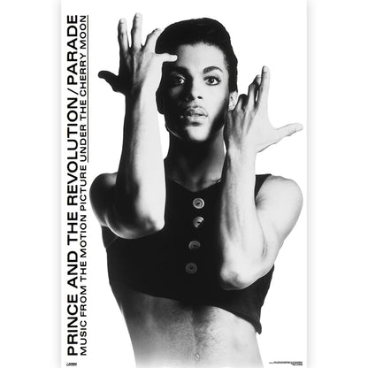 PRINCE - (追悼 10年 ) - Parade