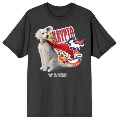 SUPERMAN - Supergirl Movie 2026 / Krypto Sticker Art
