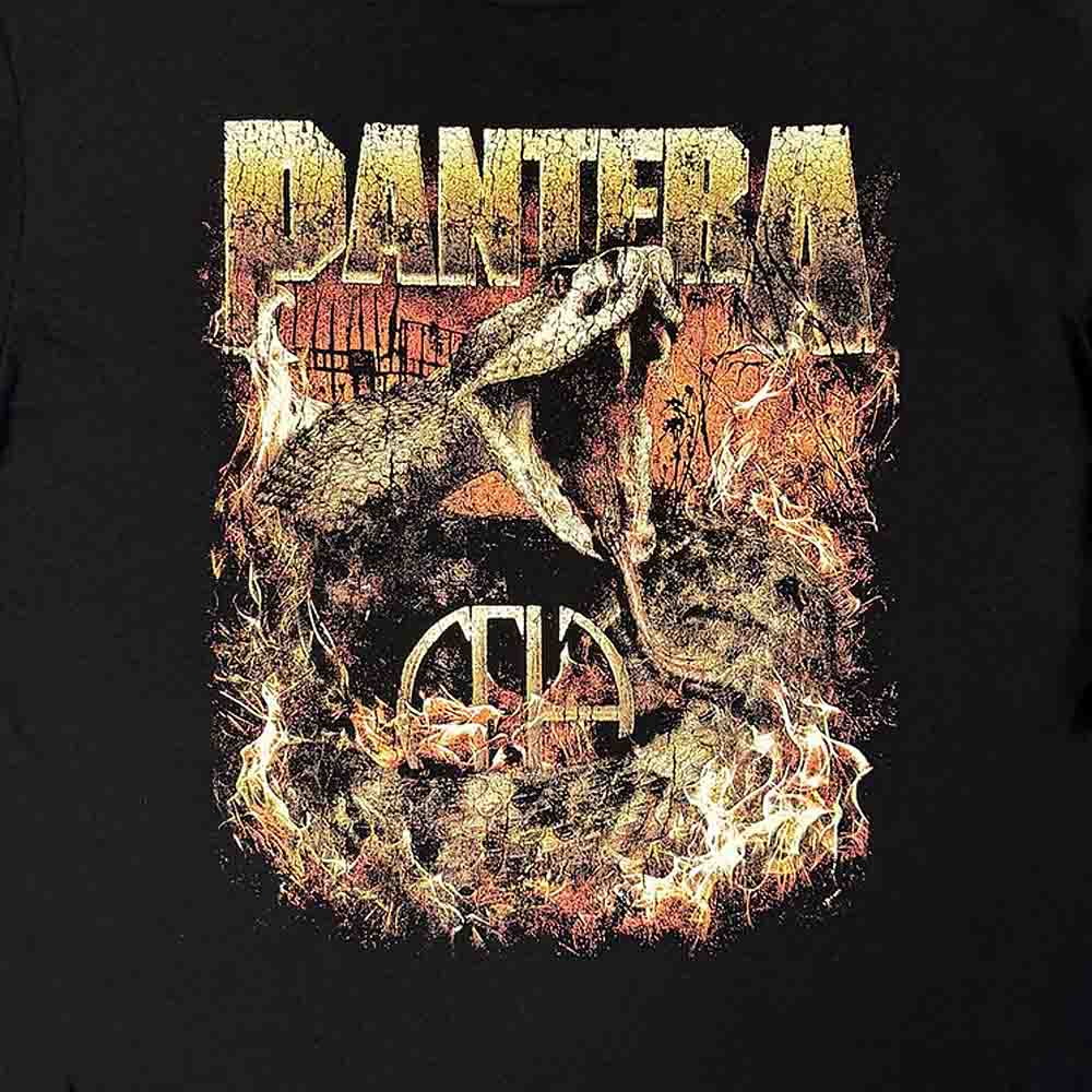 【予約商品】 PANTERA パンテラ (結成 45周年 ) - World Domination Tour / バックプリントあり / 長袖 / Tシャツ / メンズ