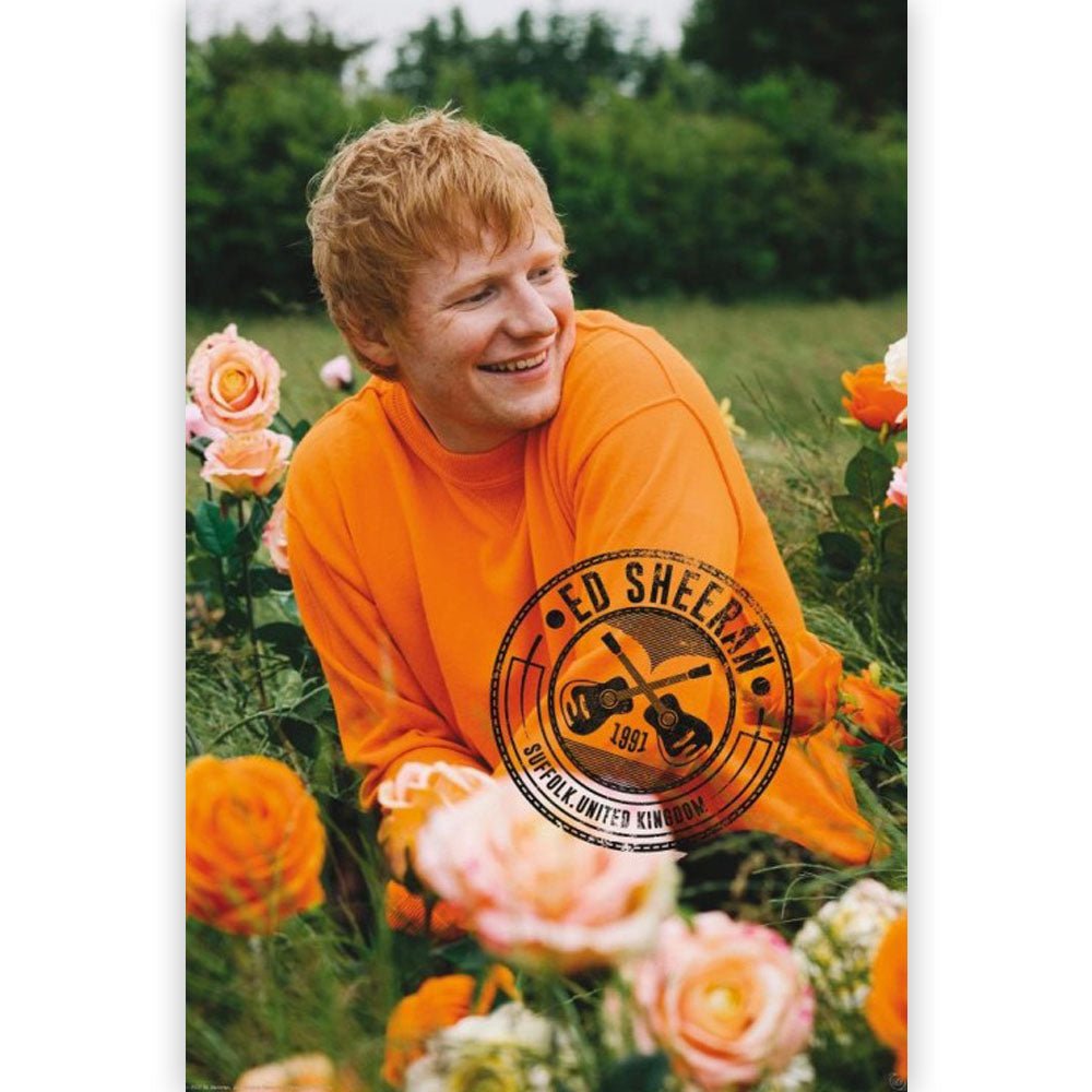 ED SHEERAN - (デビュー 15周年 ) - Rose Field