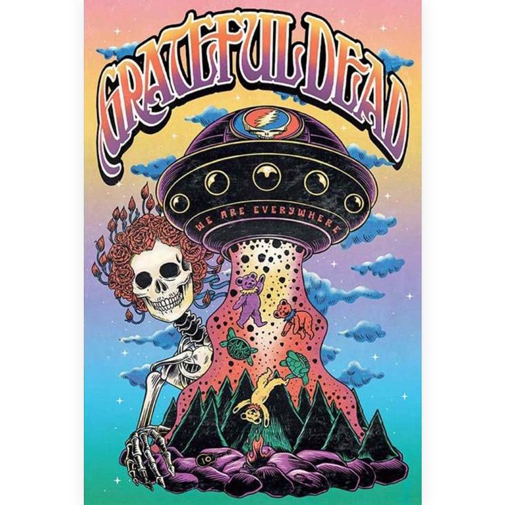 2000年代 グレイトフル・デッド ポスター ポストカード 大きいサイズ レア GRATEFUL DEAD グレイトフルデッド – PGS