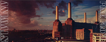 PINK FLOYD｜マグカップ｜公式ライセンス商品｜PGS